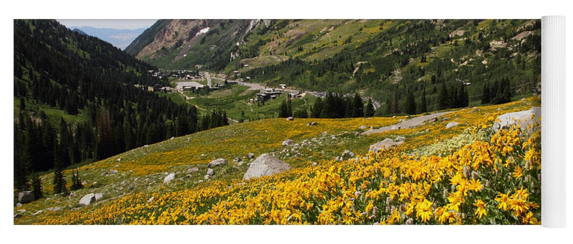 Landscape Yoga Mat featuring the photograph Superior Wasatch Wildflowers by Brett Pelletier