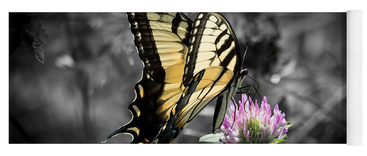 Butterfly Yoga Mat featuring the photograph Swallowtail Butterfly- Color Pop by Holden The Moment