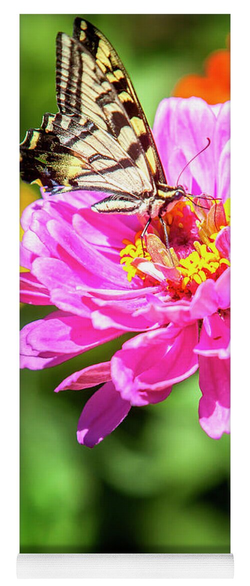 Swallowtail Butterfly Yoga Mat featuring the photograph Swallowtail Butterfly Wall Art by David Millenheft