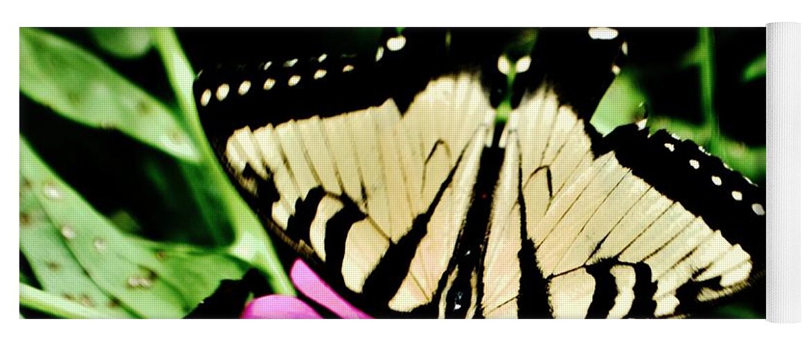 Butterfly Yoga Mat featuring the photograph Swallowtail by Eileen Brymer