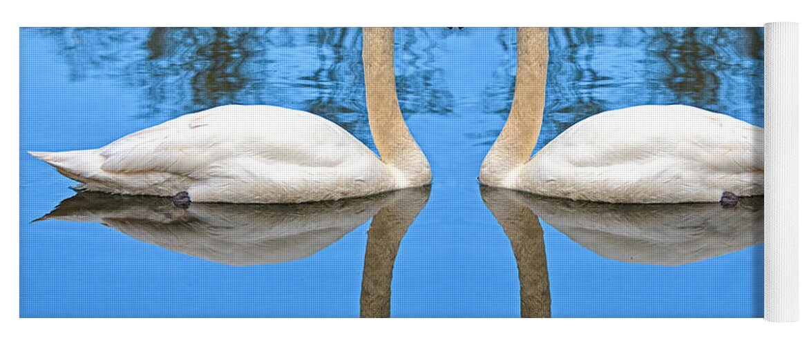 Swan Yoga Mat featuring the photograph Swan Princess by Roy Pedersen