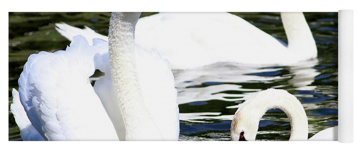 Swans Yoga Mat featuring the photograph Swans III by Carol Montoya