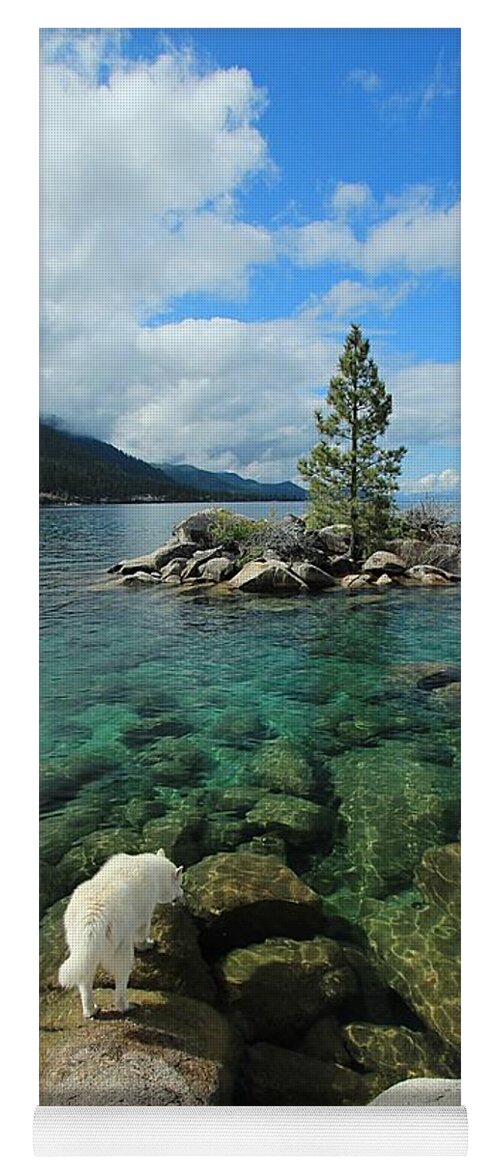 Lake Tahoe Yoga Mat featuring the photograph Tahoe Tap ...Nectar of The Gods by Sean Sarsfield