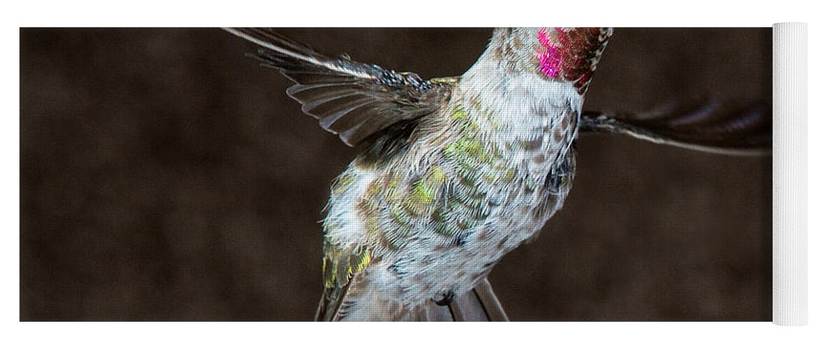 Hummingbird Yoga Mat featuring the photograph Take My Good Side Please by Patrick Campbell