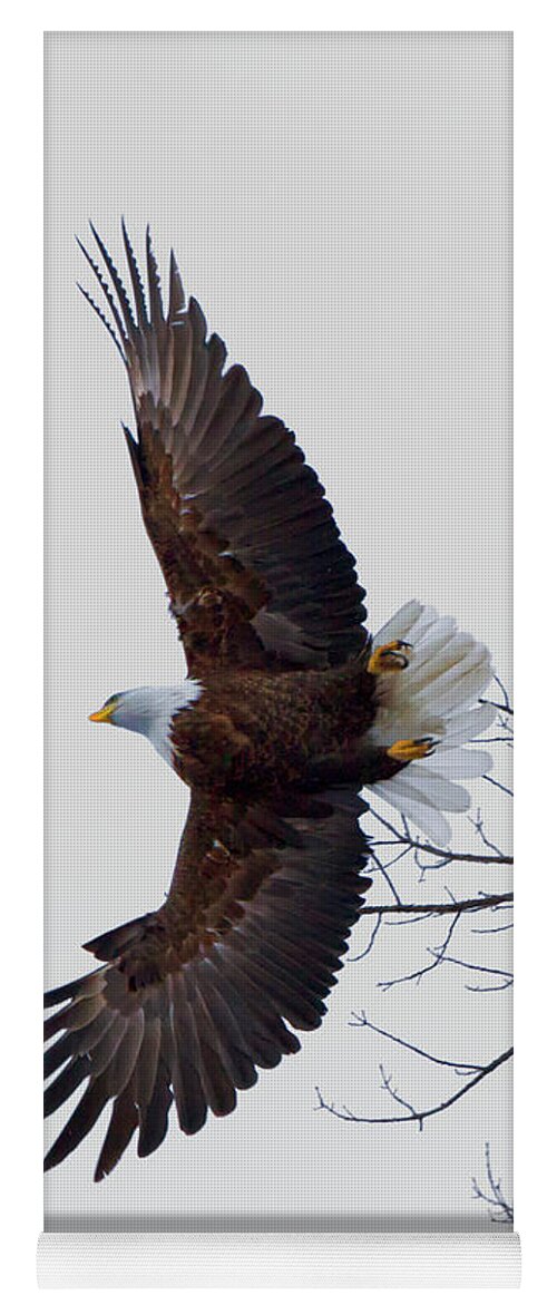 Eagle Yoga Mat featuring the photograph Take Off by Nancy Dunivin