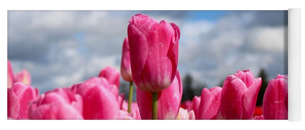Tulip Yoga Mat featuring the photograph Tall Standing Tulip by Brian Eberly
