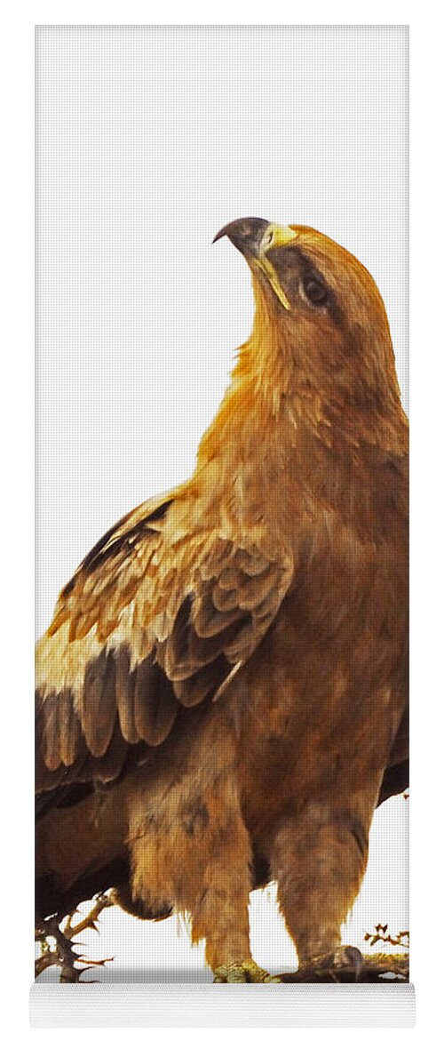 Birds Yoga Mat featuring the photograph Tawny Eagle by Patrick Kain