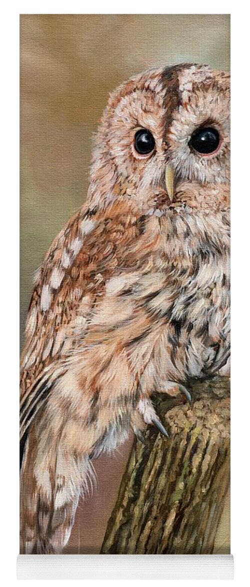 Owl Yoga Mat featuring the painting Tawny Owl by David Stribbling