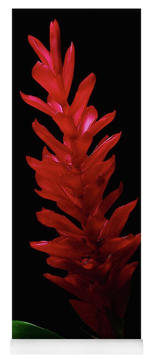 Red Ginger Yoga Mat featuring the photograph Teuila by James Temple