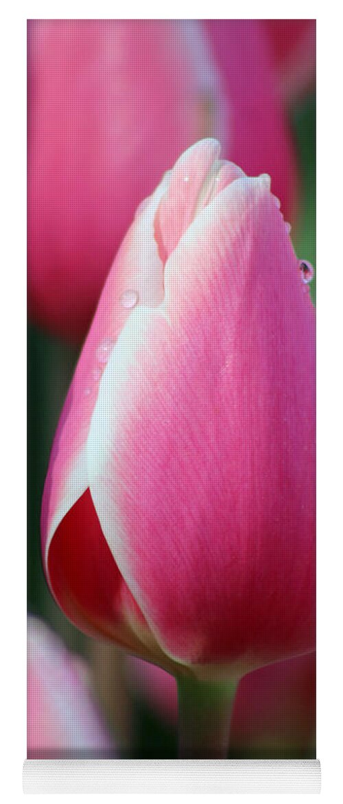 Tulip Yoga Mat featuring the photograph Texas Blooms 107 by Pamela Critchlow