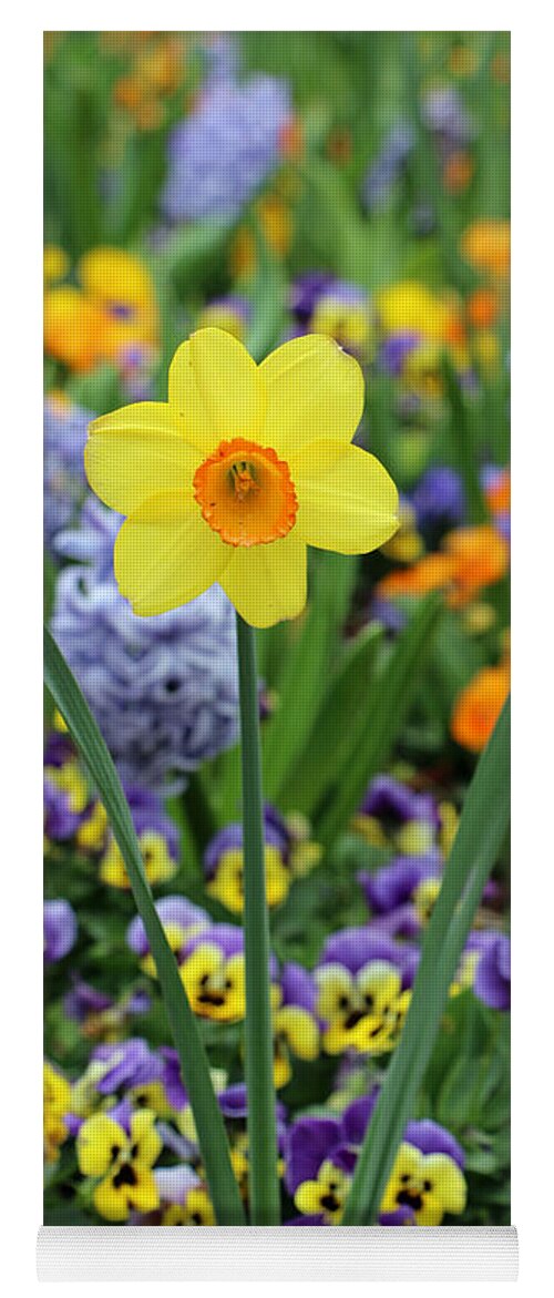 Daffodil Yoga Mat featuring the photograph Texas Blooms 48 by Pamela Critchlow