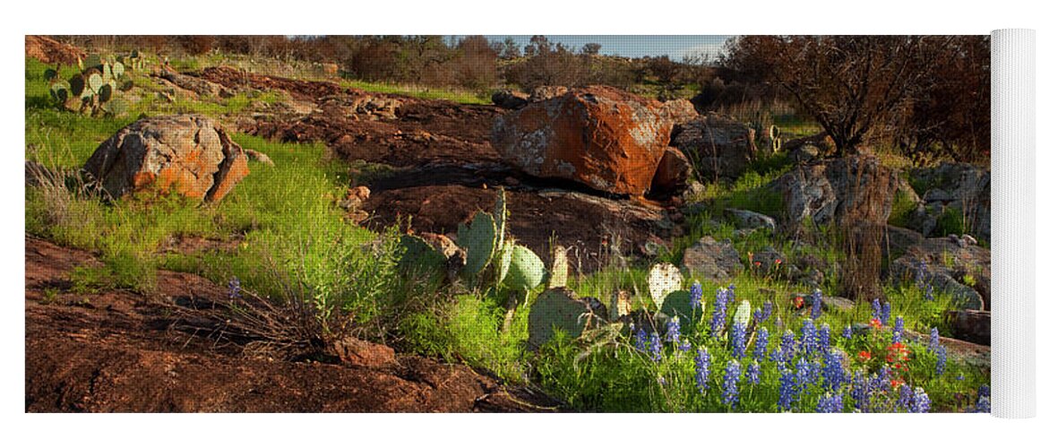 Texas Blue Bonnets Yoga Mat featuring the photograph Texas Blue Bonnets and cactus by Keith Kapple