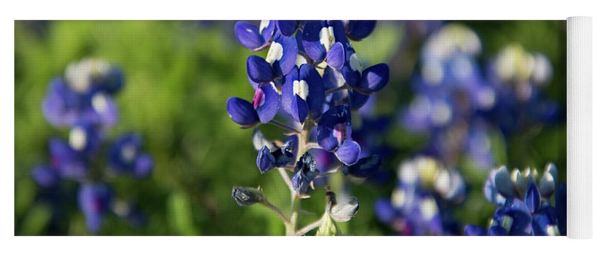 Bluebonnet Yoga Mat featuring the photograph Texas Bluebonnets by Frank Madia