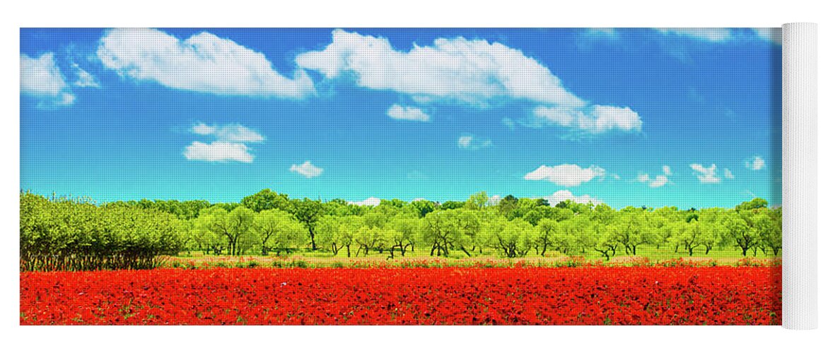 Texas Yoga Mat featuring the photograph Texas Red Poppies by Darryl Dalton