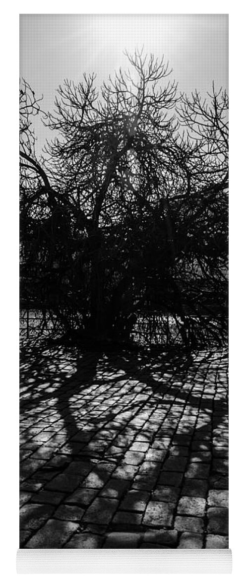 Monochrome Yoga Mat featuring the photograph The ancient tree and its shadow by AM FineArtPrints