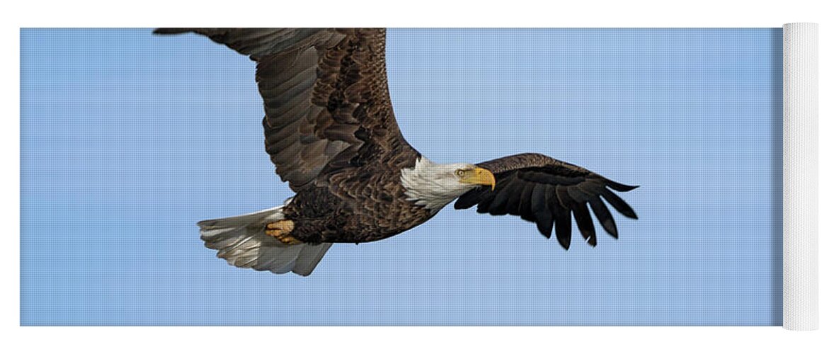 Bald Eagles Yoga Mat featuring the photograph The Bald Eagle by Susan Rissi Tregoning