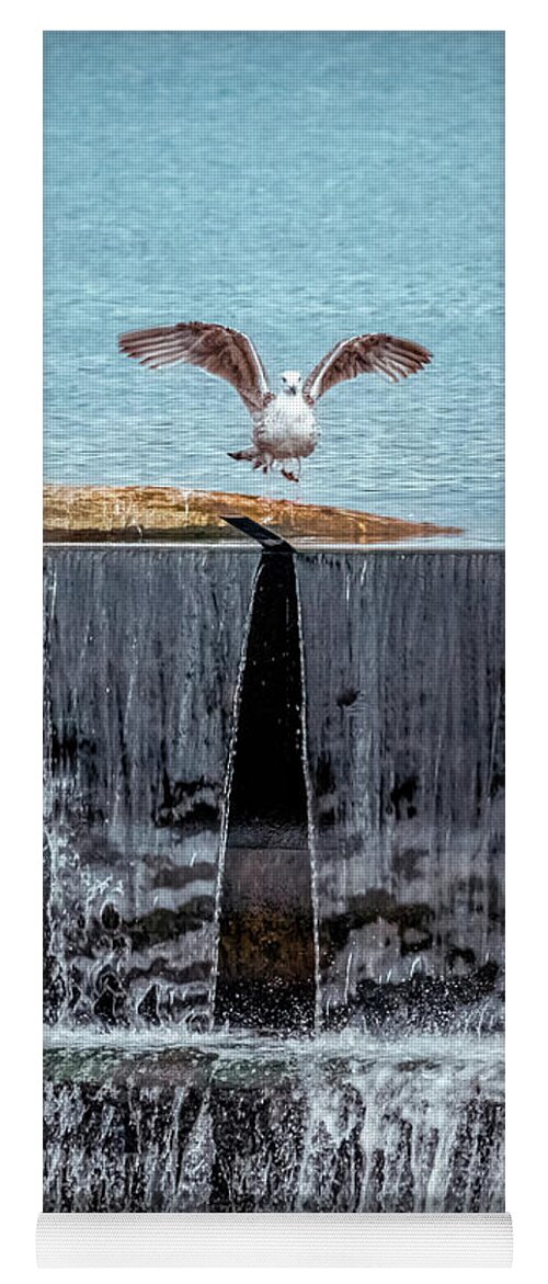 The Bird Yoga Mat featuring the photograph The bird over waterfall by Lilia S