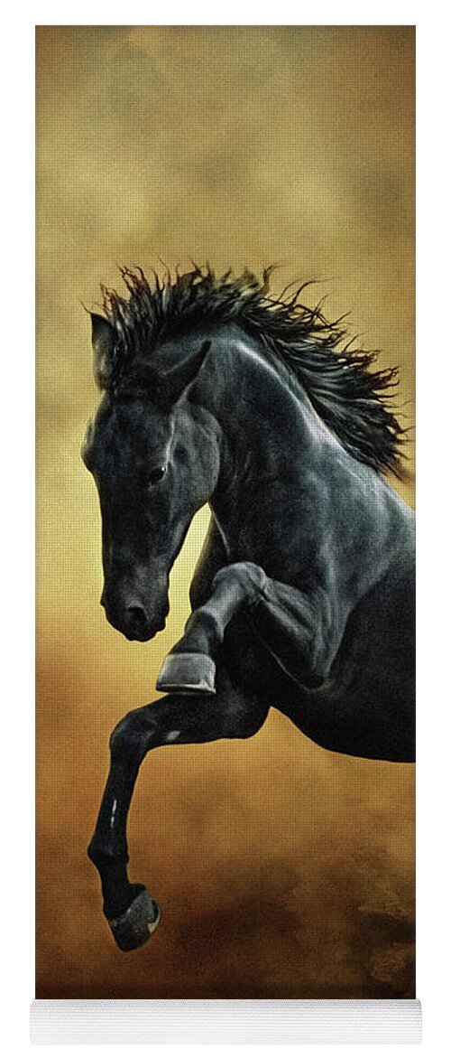 Horse Yoga Mat featuring the photograph The Black Stallion in Dust II by Dimitar Hristov