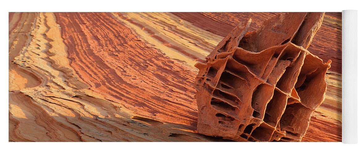 Bizarre Yoga Mat featuring the photograph The Bone Yard in the North Coyote Buttes, Arizona by Henk Meijer Photography