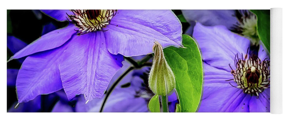 Flower Yoga Mat featuring the digital art The Clematis Bud by Ed Stines