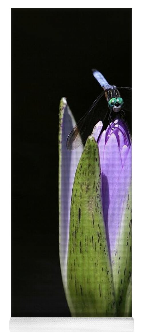 Bud Yoga Mat featuring the photograph The Dragonfly and the Water Lily by Sabrina L Ryan