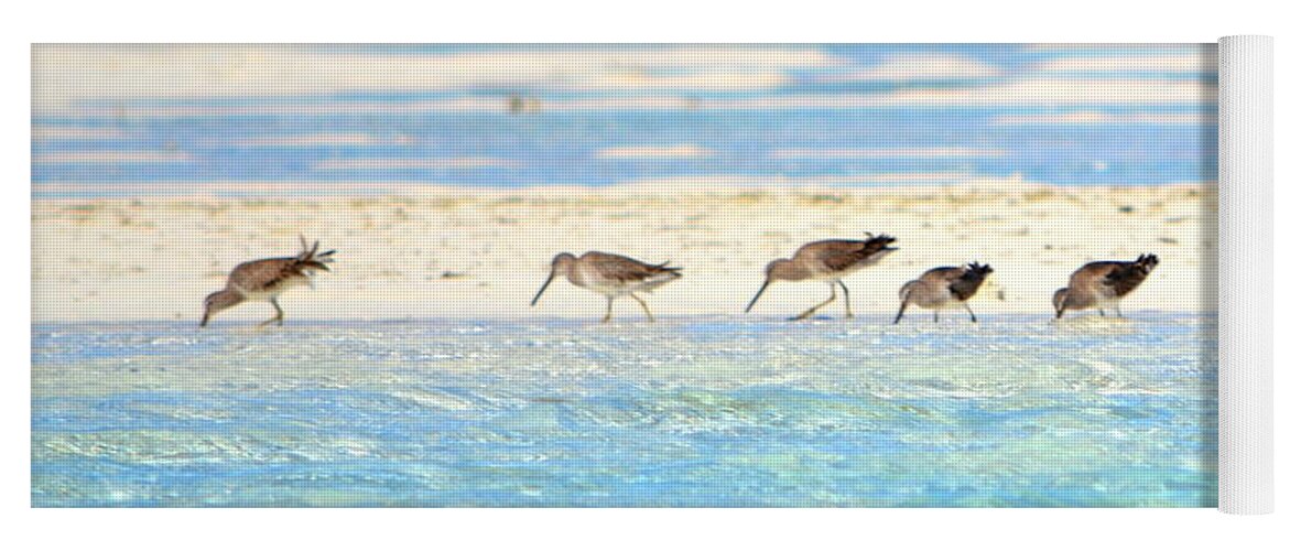 Bahamas Yoga Mat featuring the photograph The Five Sandpipers by Kimberly Woyak