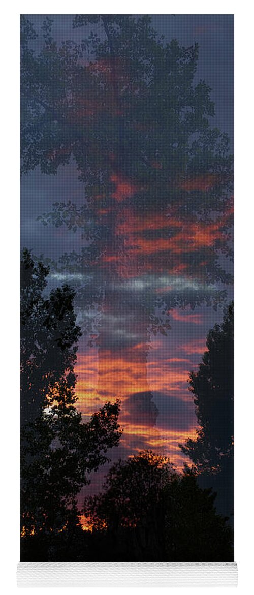 Forest Yoga Mat featuring the photograph The Forest Through the Trees by Ellery Russell