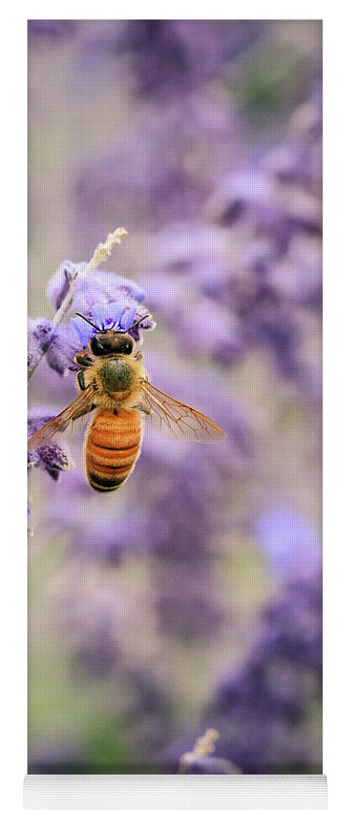 College Church Yoga Mat featuring the photograph The Honey Bee and the Sage by Joni Eskridge