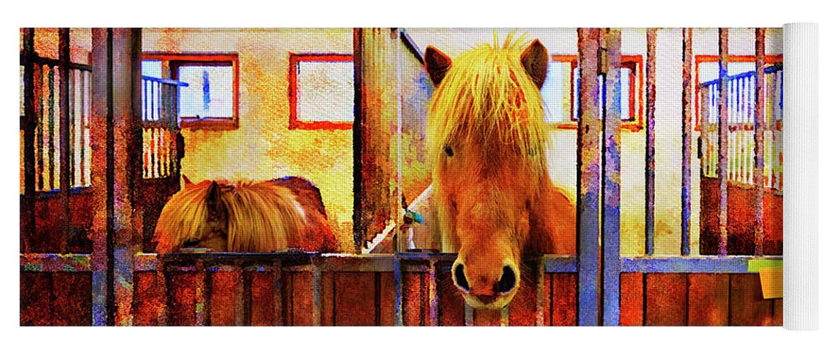 Horses Yoga Mat featuring the photograph The Iceland Horse 1 of Hester-Stables by Craig J Satterlee