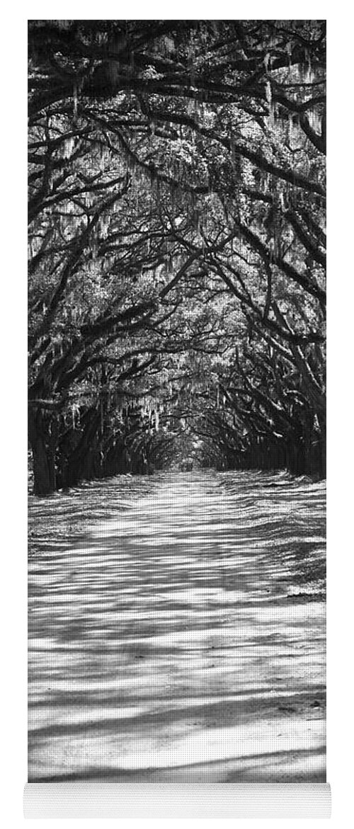 Georgia Yoga Mat featuring the photograph Live Oaks Lane with Shadows - Black and White by Carol Groenen