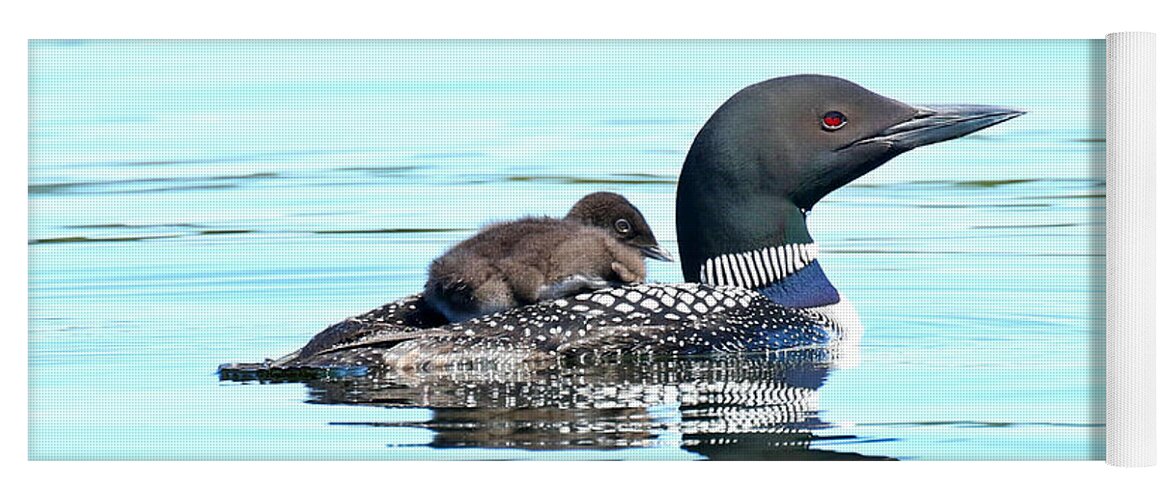 Loon Yoga Mat featuring the photograph The little hitchhiker by Heather King
