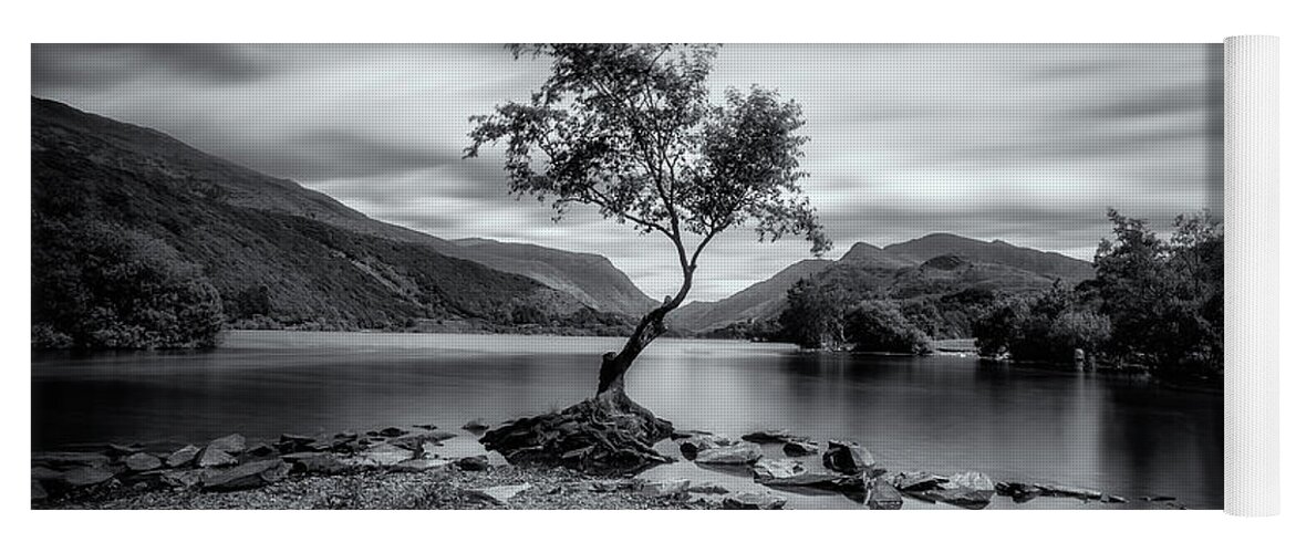 Llyn Padarn Yoga Mat featuring the photograph The lonely tree at Llyn Padarn lake - Part 2 by Mariusz Talarek