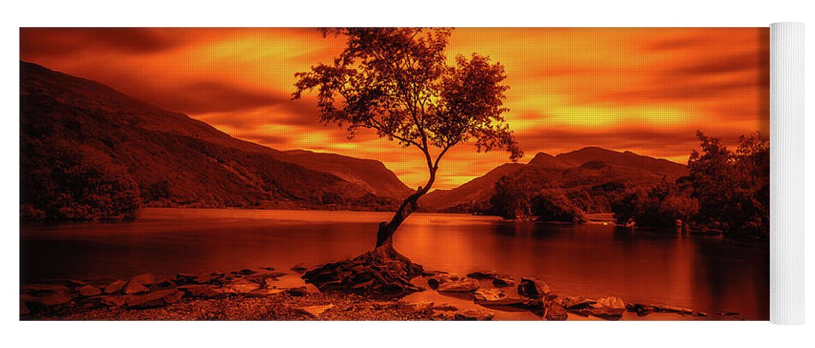 Llyn Padarn Yoga Mat featuring the photograph The lonely tree at Llyn Padarn lake - Part 3 by Mariusz Talarek