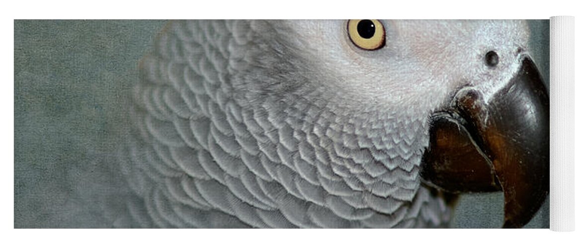 Parrot Yoga Mat featuring the photograph The Love of a Gray by Betty LaRue