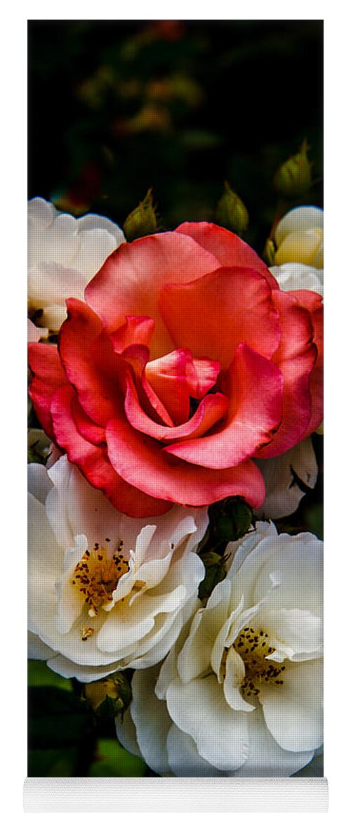 Rose Yoga Mat featuring the photograph The Odd One by Robert Bales