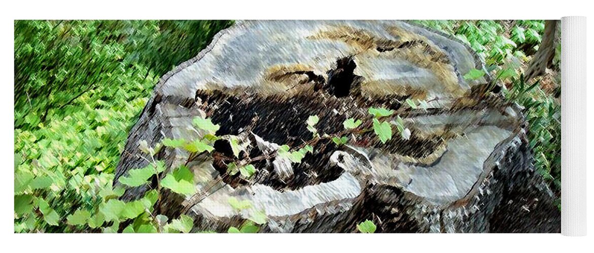 Arboretums Yoga Mat featuring the photograph An Old Tree Stump by Walter Neal