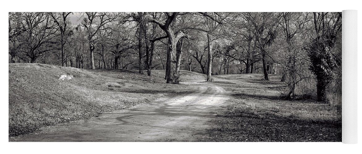 Jay Stockhaus Yoga Mat featuring the photograph The Pecan Grove by Jay Stockhaus