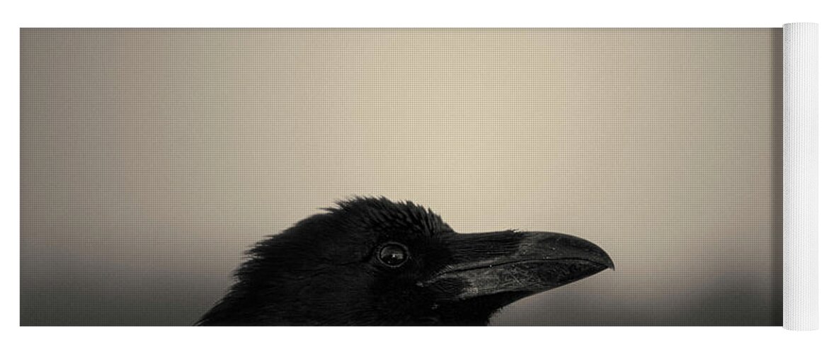 Blackbird Yoga Mat featuring the photograph The Raven by David Gordon