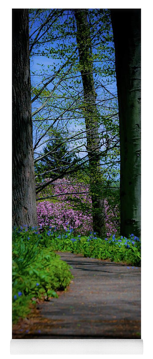 Trees Yoga Mat featuring the photograph The Road To Peace And Quiet by Trish Tritz