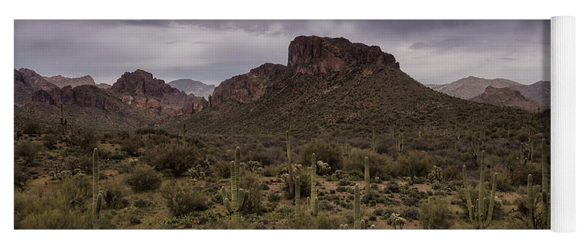 Arizona Yoga Mat featuring the photograph The Sentinels of the Sonoran Desert by Saija Lehtonen