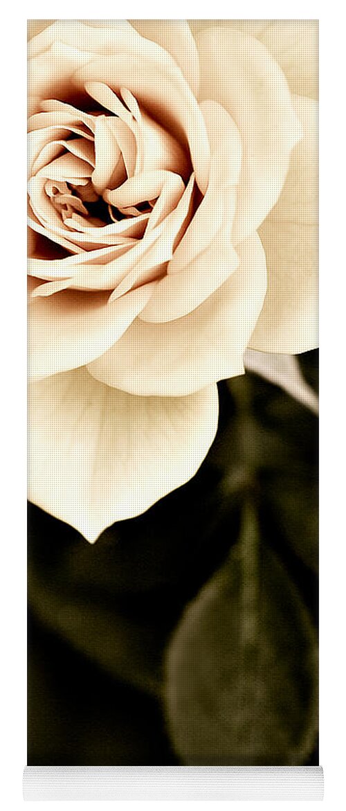 Rose Yoga Mat featuring the photograph The Softest Rose by Marilyn Hunt