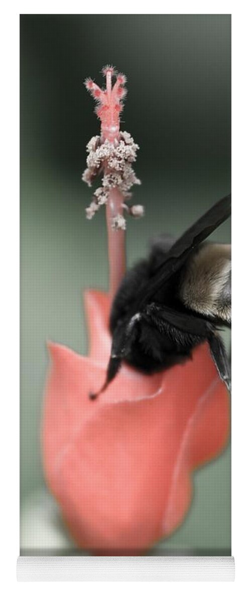 Bee Yoga Mat featuring the photograph The Sweet Spot by Charles Dobbs