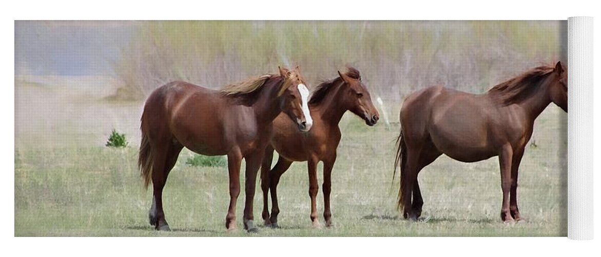 Wild Horses Yoga Mat featuring the photograph The Three Amigos by Benanne Stiens