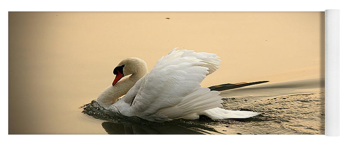 Swan Yoga Mat featuring the photograph The Ugly Duckling by Eena Bo