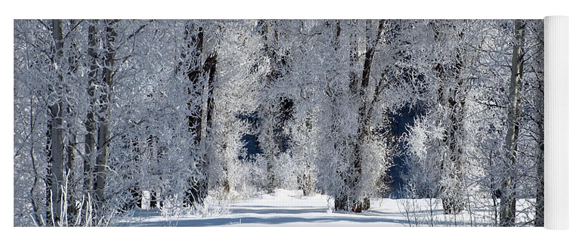 Winter Yoga Mat featuring the photograph The Untraveled Winter Road by DeeLon Merritt