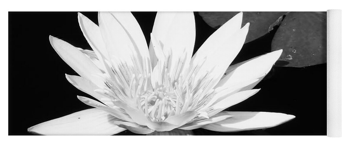 Naples Botanical Garden Yoga Mat featuring the photograph The Vintage Lily by Melanie Moraga