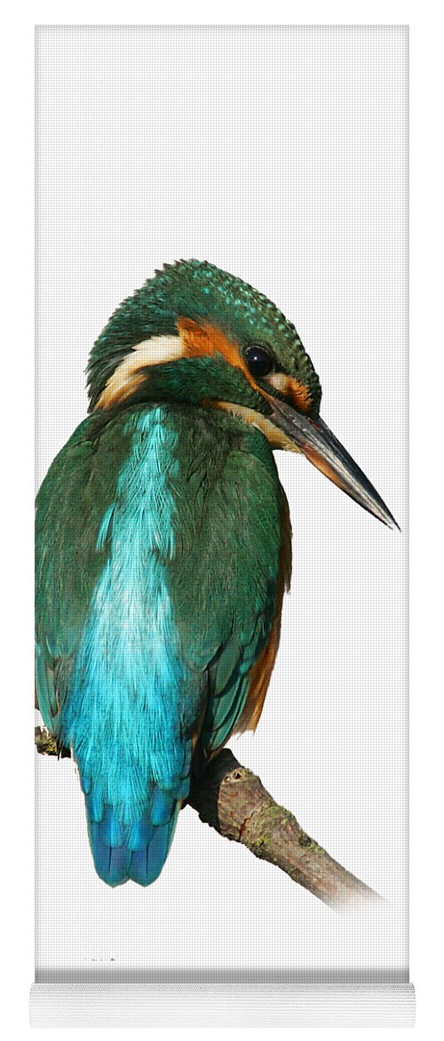 Kingfisher Yoga Mat featuring the photograph The watchful Kingfisher T-shirt by Tony Mills