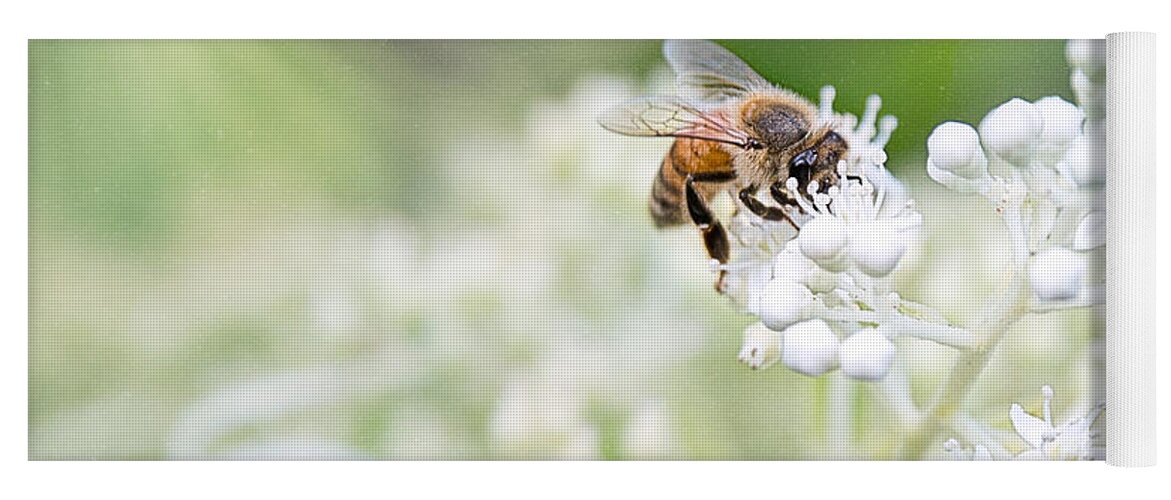 Nature Yoga Mat featuring the photograph The Worker Bee by Sharon McConnell