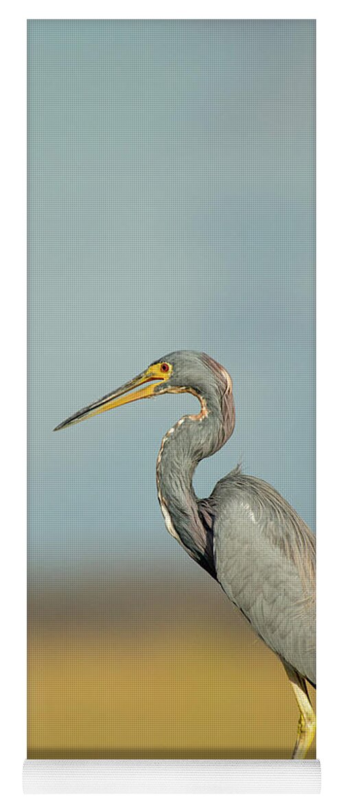 Everglades National Park Yoga Mat featuring the photograph There Could Be A Yawn Coming by Frank Madia