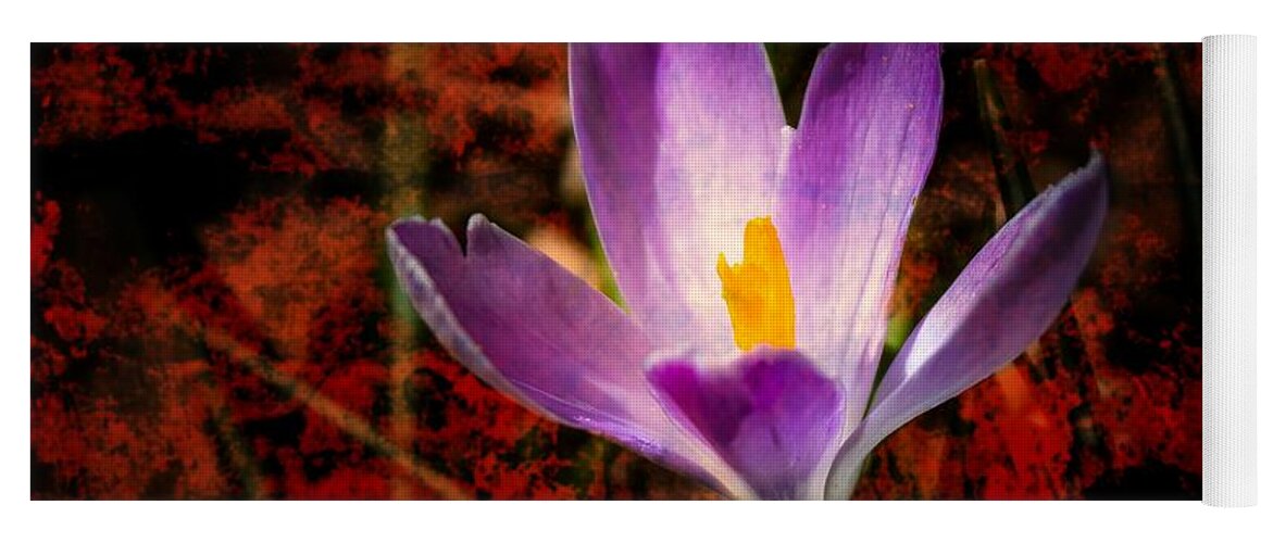 Crocus Yoga Mat featuring the photograph There's Always Hope by Alison Frank
